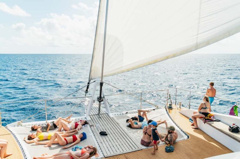 From Cairns: Great Barrier Reef Cruise by Premium Catamaran - An In-Depth Look at the Tour