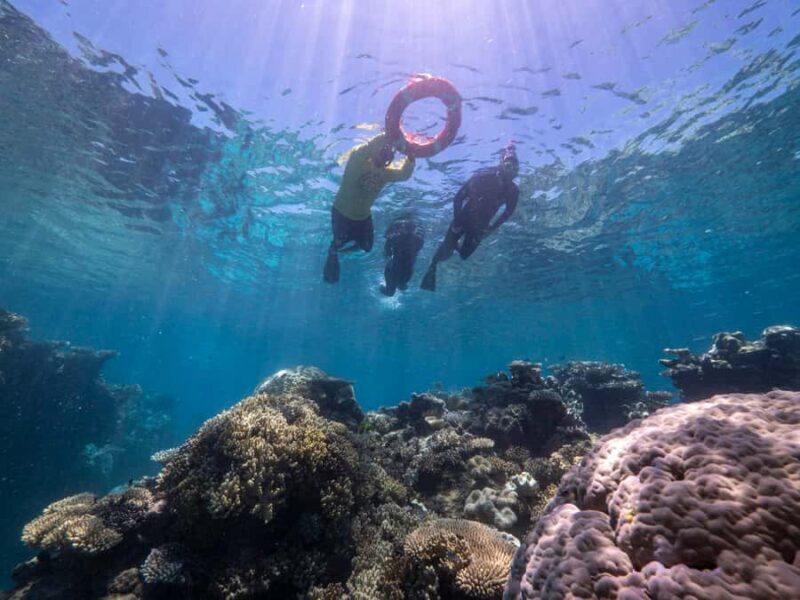 From Cairns: Great Barrier Reef Cruise by Premium Catamaran - FAQs