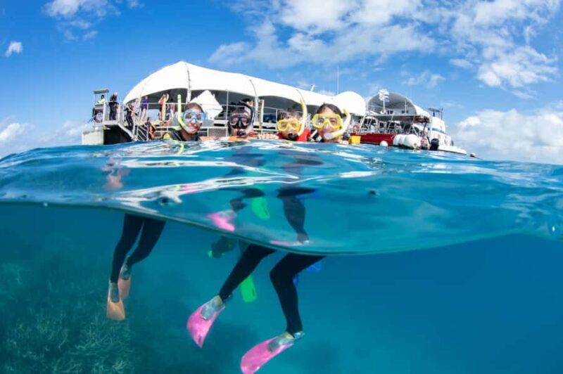 From Cairns: Great Barrier Reef Pontoon Experience - Who Will Love This Tour?
