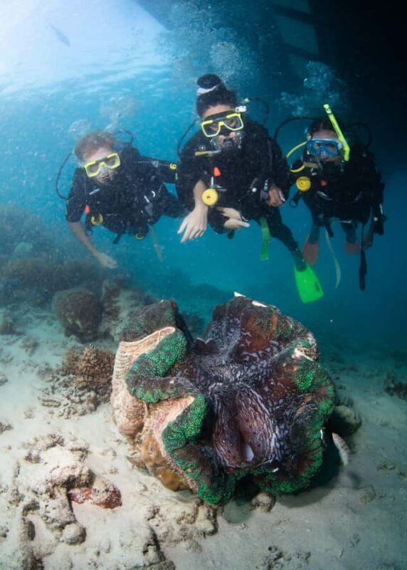 From Cairns: Great Barrier Reef Pontoon Experience - Frequently Asked Questions