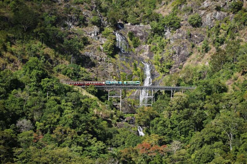 From Cairns: Kuranda Tour with Transfer - Key Points