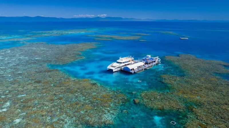 From Cairns: Outer Reef Pontoon, Island & Helicopter Tour - Discovering the Great Barrier Reef: What the Tour Offers