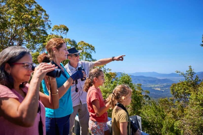 From Cairns: Rainforest & Nocturnal Wildlife Tour - Who Should Consider This Tour?