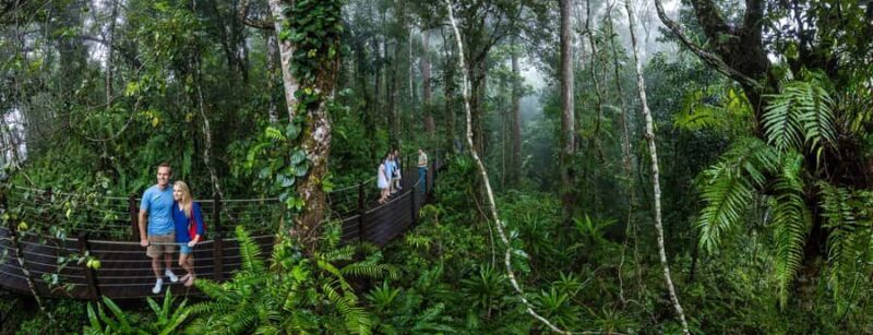 From Cairns: Self-Guided Kuranda Trip with Train and Skyrail - Final Words