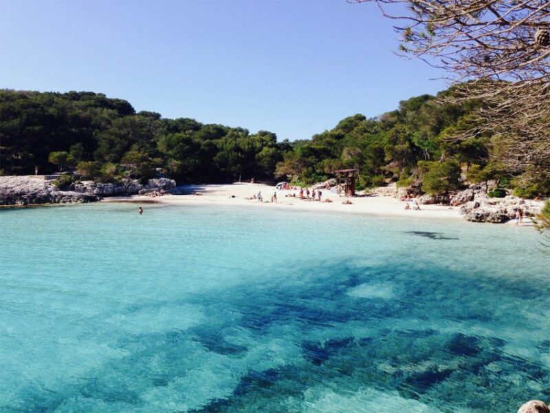 From Cala Galdana: 2-Hour Glass-Bottom Boat Trip - Who Will Love This Trip?