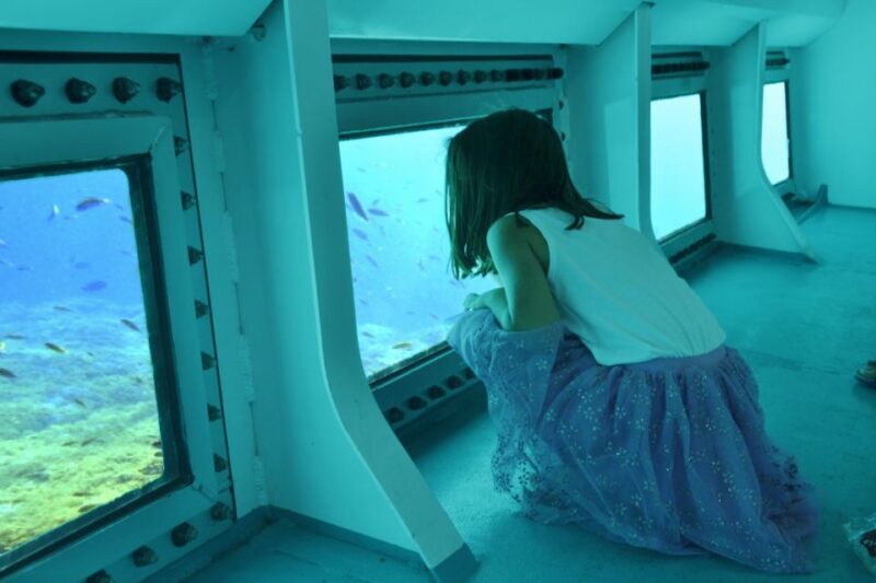 From Cala Ratjada: East Coast Glass-Bottom Boat Trip - The Experience in Detail