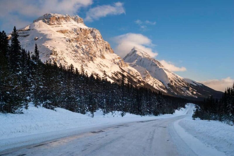 From Calgary/Banff/Canmore: Rockies Day Trip with Icefield - Who This Tour is Best For