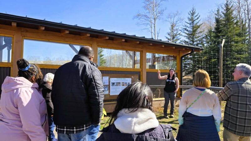 From Calgary to Banff: Day Trip with Wolfdog Sanctuary Visit - A Complete Guide to the Calgary to Banff Day Trip