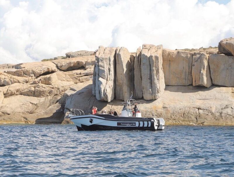 From Calvi: 2-Hour Sunset Cruise to Revellata Peninsula - What’s Included & Practical Details
