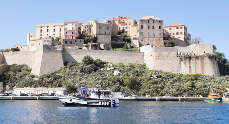 From Calvi: 2-Hour Sunset Cruise to Revellata Peninsula - Authentic Experiences from Reviews