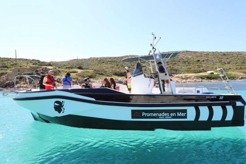 From Calvi: 2-Hour Sunset Cruise to Revellata Peninsula - Who Will Love This Experience?