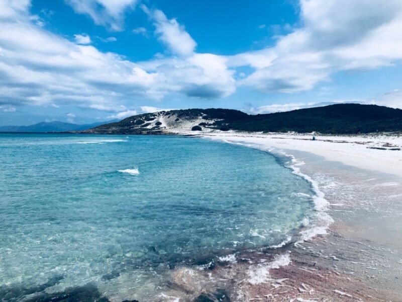 From Calvi: 4x4 Day Tour Mountain & Agriates' Saleccia Beach - An In-Depth Look at the Corsica 4x4 Day Tour