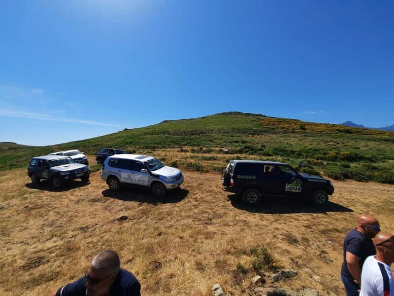 From Calvi: 4x4 Day Tour Mountain & Agriates' Saleccia Beach - What’s Included and What’s Not