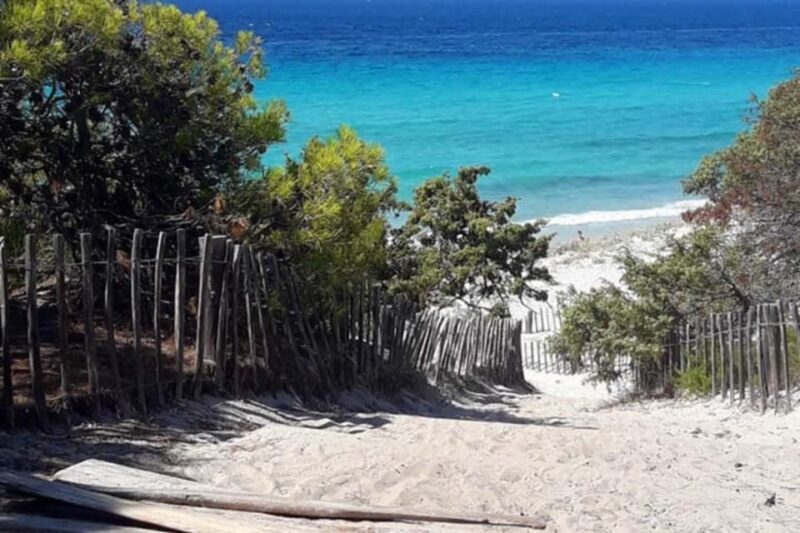 From Calvi: 4x4 Day Tour Mountain & Agriates' Saleccia Beach - FAQ