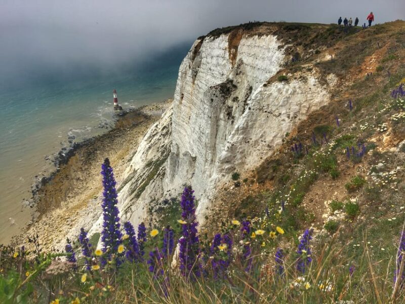 From Cambridge: Guided day trip to Brighton & Beachy Head - From Cambridge: Guided day trip to Brighton & Beachy Head — A full-day coastal adventure with spectacular views