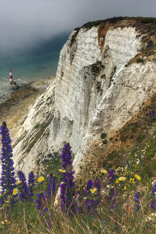 From Cambridge: Guided day trip to Brighton & Beachy Head - Key Points