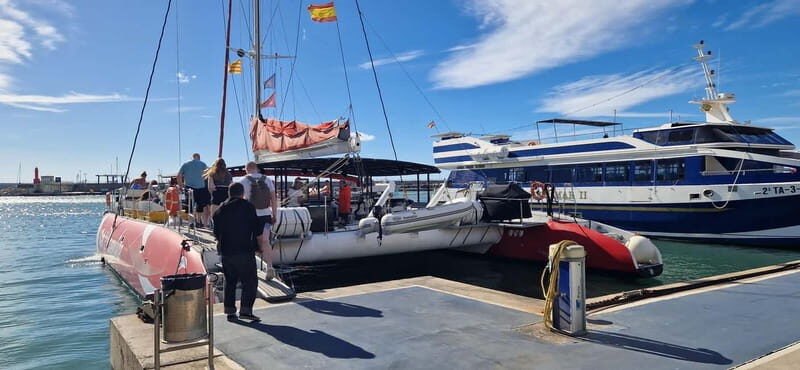 From Cambrils: catamaran 2h with drinks/bed balinese, swim. - The Sum Up