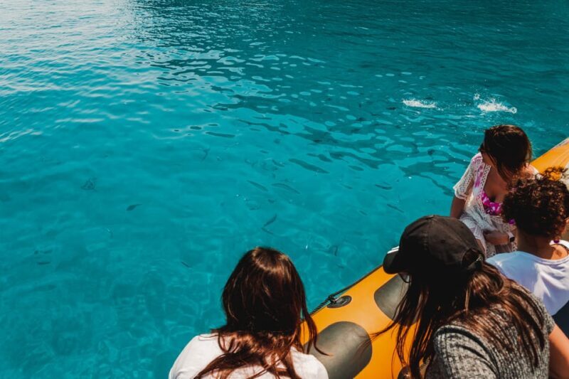 From Can Picafort: Dolphin Watching and Cave Boat Trip - The Experience from a Traveler’s Perspective