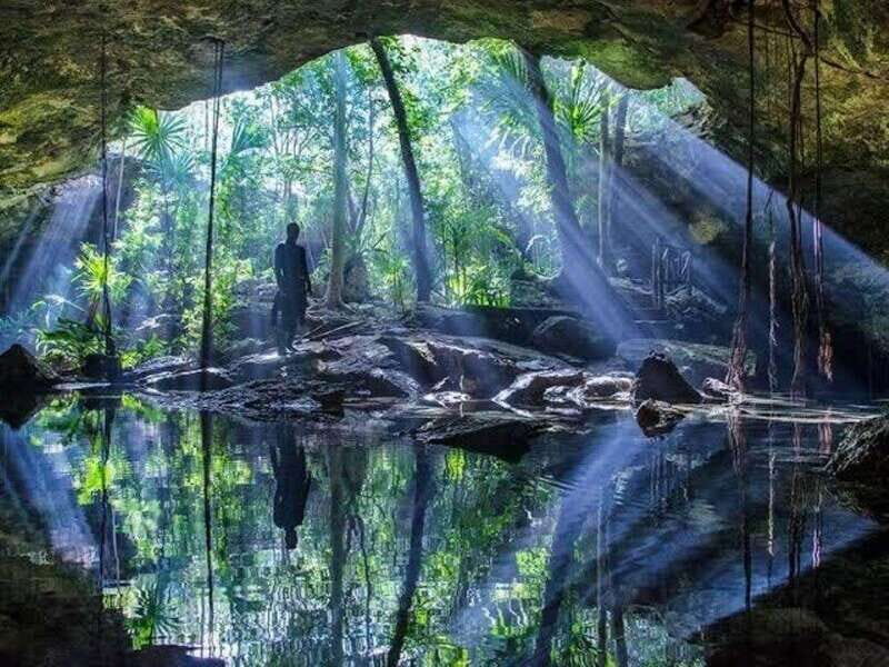 From Cancun: Chikin Ha Cenote Diving Experience - Key Points