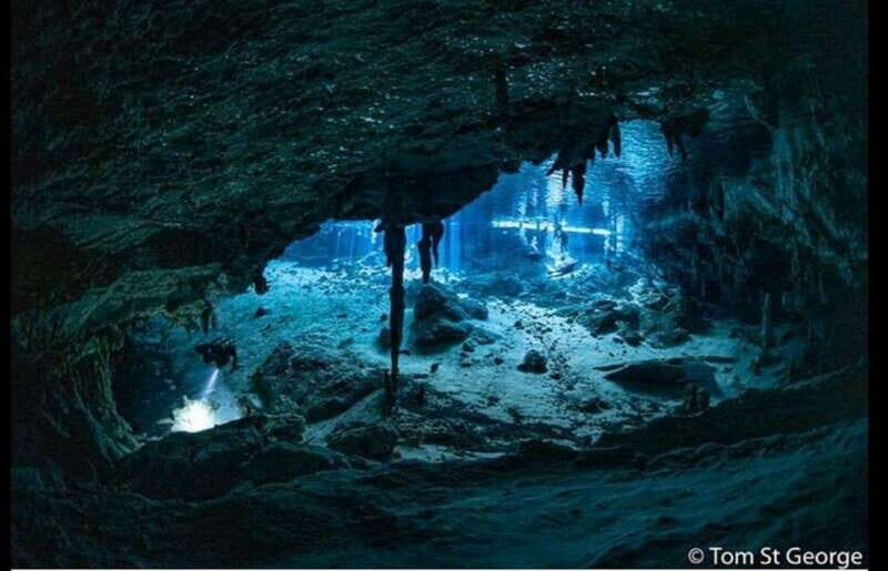 From Cancun: Dos Ojos Cenote Diving Experience - An Up-Close Look at the Dos Ojos Cenote Diving Experience