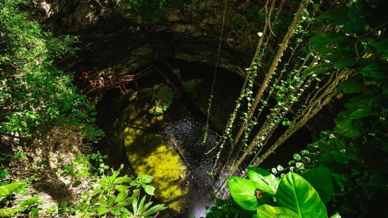 From Cancun: Ek Balam and Cenote Tour with Lunch & Transfer - Lunch: A Taste of Yucatán