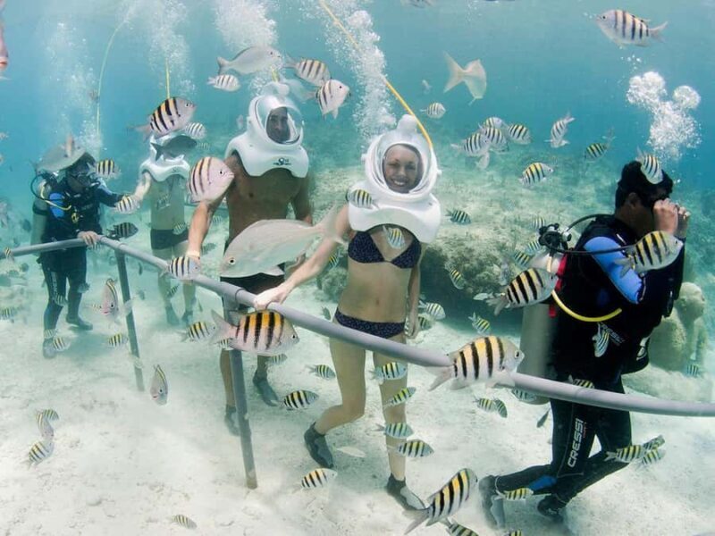 From Cancun: Full Combo to Xcaret Park! - Pricing & Value: Is It Worth It?