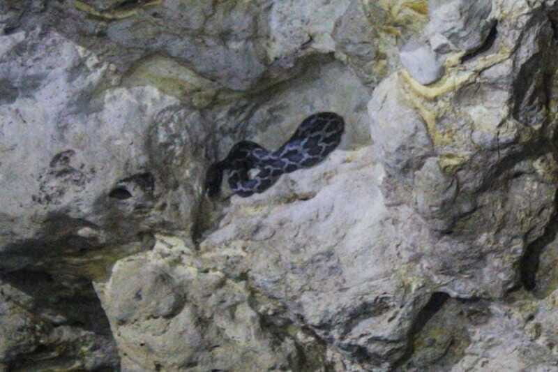 From Cancun: Kantemó Snake Cavern Adventure - FAQ