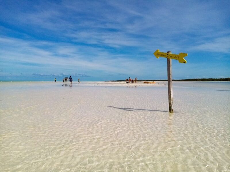 From Cancun or Puerto Morelos: Holbox Boat Tour with Lunch - Practical Tips for the Trip