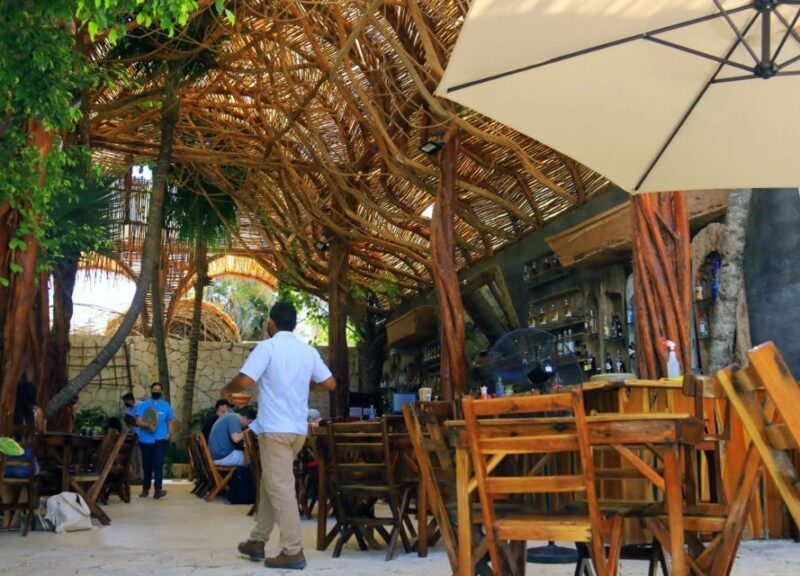 From Cancún: Puerto Morelos Guided Taco Tasting Tour - The Bottom Line