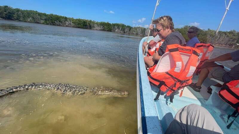 From Cancun: Rio Lagartos and Las Coloradas Day Trip - Key Points