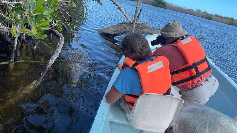 From Cancun: Rio Lagartos and Las Coloradas Day Trip - Final Thoughts: Is This Tour Worth Considering?