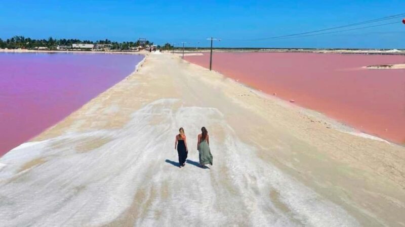 From Cancún: Rio Lagartos & Las Coloradas Day Trip & Lunch - Key Points