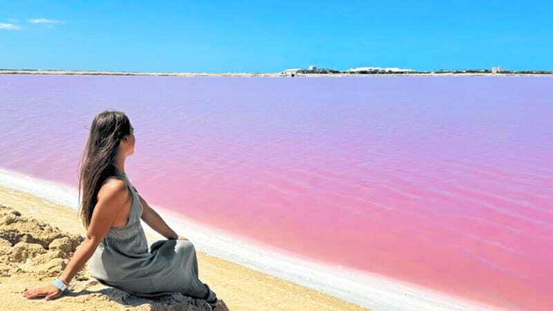 From Cancún: Rio Lagartos & Las Coloradas Day Trip & Lunch - Final Thoughts