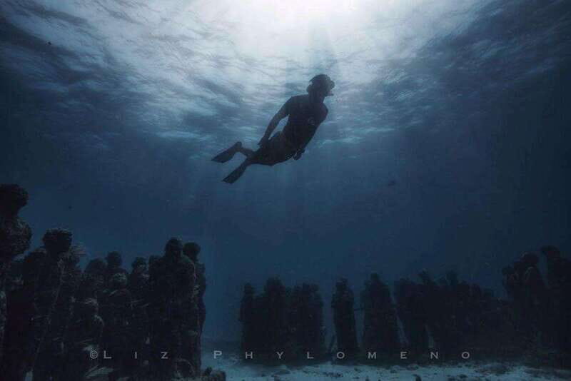 From Cancun: Snorkeling Cozumel Reefs - Key Points