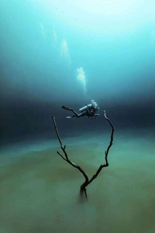 From Cancun: The Pit and Dos Ojos Cenote Diving Experience - An In-Depth Look at the Cenote Diving Experience from Cancun