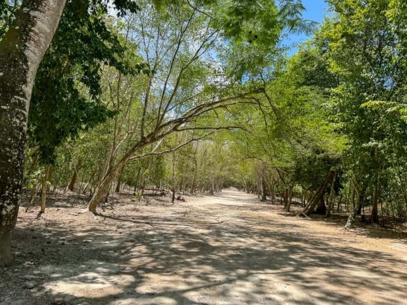 From Cancun: Tulum and Coba Tour with a cenote visit and buffet lunch - Key Points