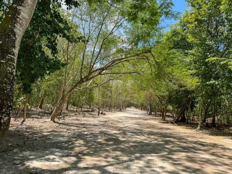 From Cancun: Tulum and Coba Tour with a cenote visit and buffet lunch - Who Will Enjoy This Tour Most?