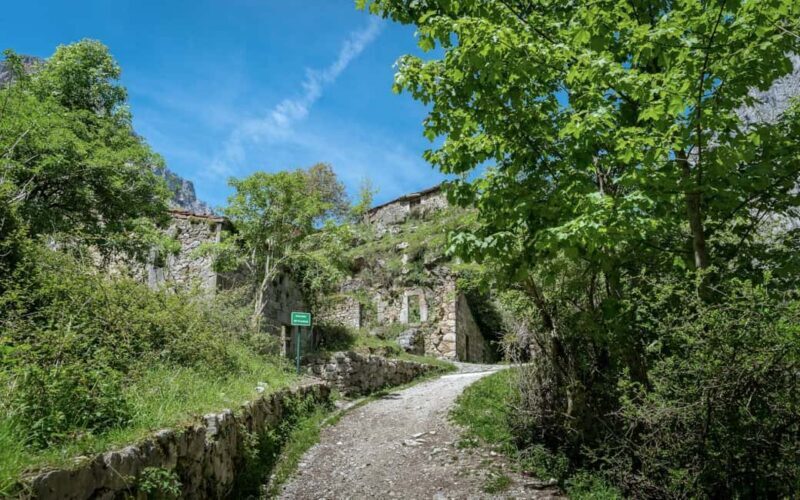 From Cangas de Onís: Lakes of Covadonga and Bulnes by funicular - Final Thoughts on Value and Suitability