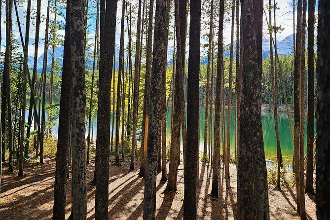 From Canmore/Banff: Columbia Icefield Skywalk Peyto Private Tour - An In-Depth Look at the Tour Itinerary
