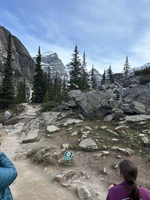 From Canmore/Banff:Moraine Lake & Lake Louise 1.5h per lake - FAQ