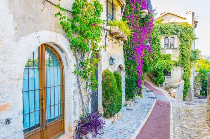 From Cannes:Shore excursion to Grasse,Antibes,St PauldeVence - Practical Details and What to Expect
