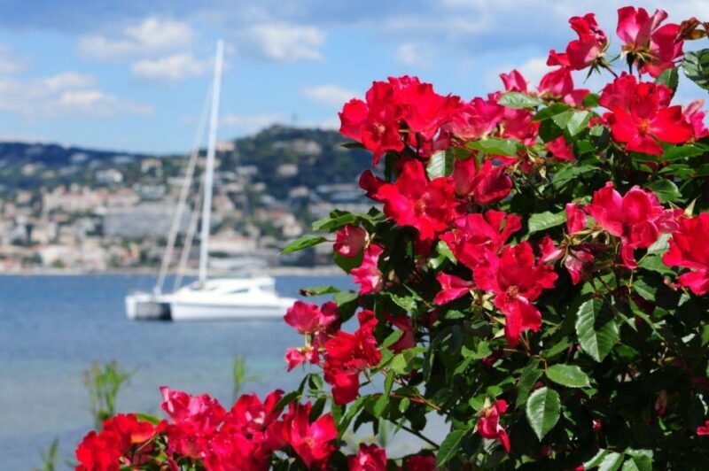From Cannes:Shore excursion to Grasse,Antibes,St PauldeVence - Final Thoughts