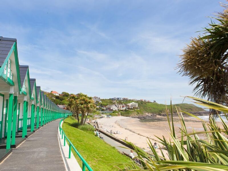 From Cardiff: Golden Gower Coast, Swansea & Mumbles Day Tour - Key Points