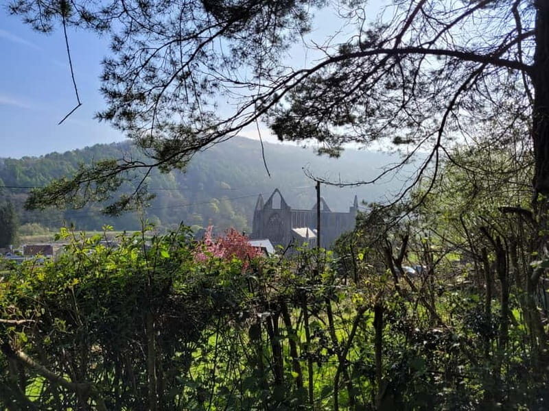 From Cardiff: Guided Tour of Welsh Valleys - Who Will Love This Tour?