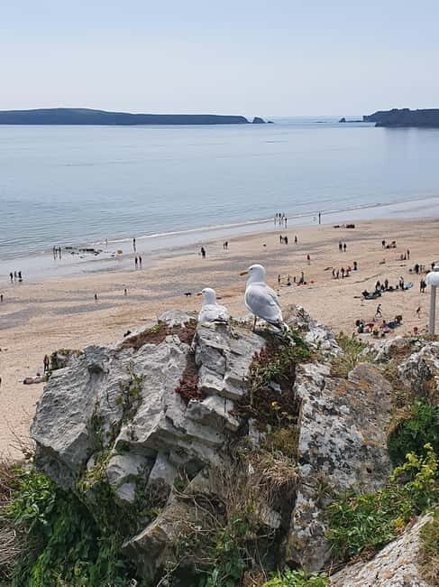 From Cardiff: The Wandering Bard's Mythical West Wales Tour - FAQs