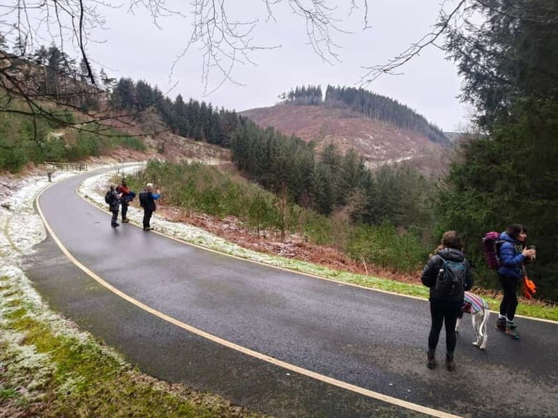 From Cardiff: Valleys Heritage & South Wales Landscapes - Scenic Drive & Forest Tranquility