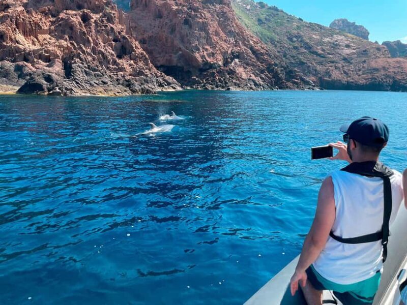 From Cargèse : The Calanques of Piana - An In-Depth Look at the Experience