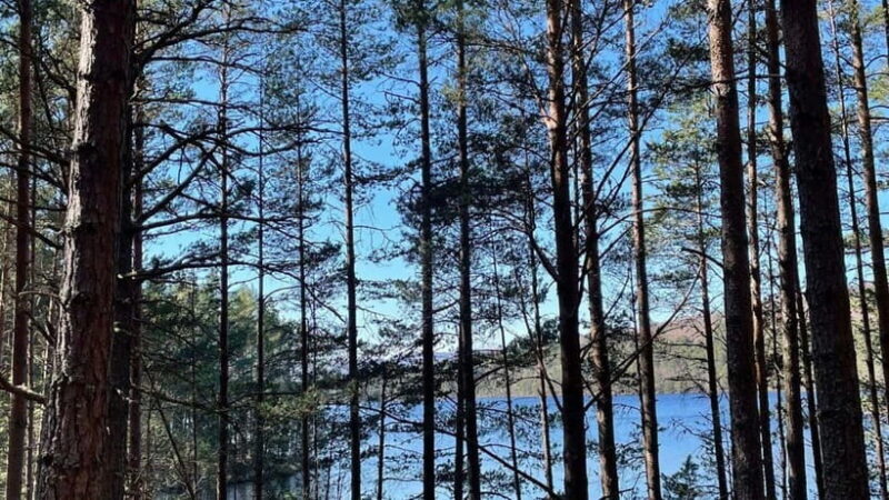 From Carrbridge: Cairngorms, Whisky, and Highland History - Whisky at Tomatin Distillery