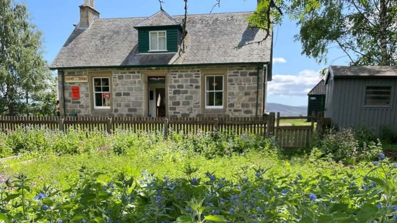 From Carrbridge: Cairngorms, Whisky, and Highland History - Why This Tour Works Well