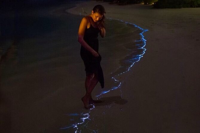 From Cat Ba: Sunset, Magical Bioluminescence Plankton Night Kayak - Who This Tour Is Perfect For